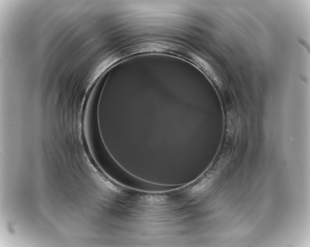 X0000099430802200805091249