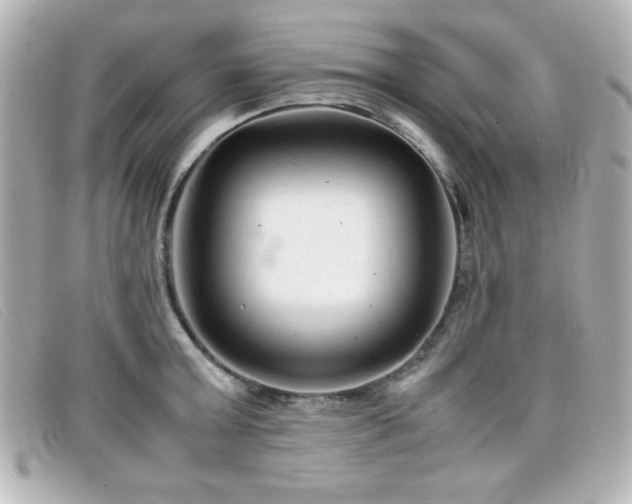 X0000099430803200805091249