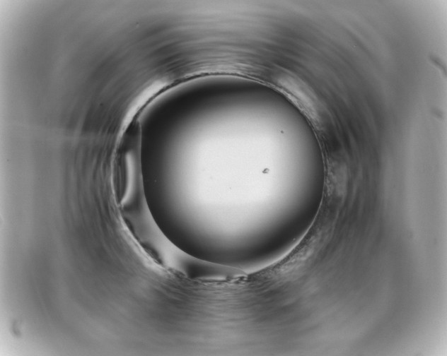 X0000099430804200805091249