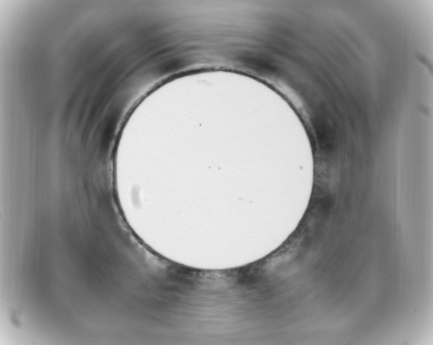 X0000099430807200805091249