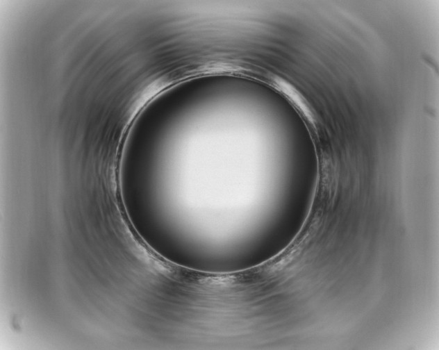 X0000099430810200805091249