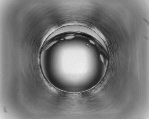X0000099430813200805091249
