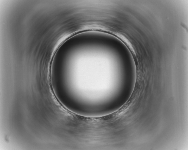 X0000099430815200805091249