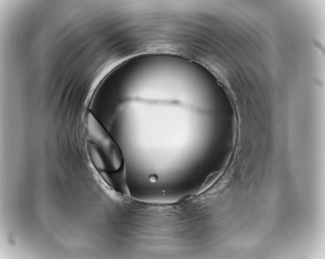 X0000099430816200805091249
