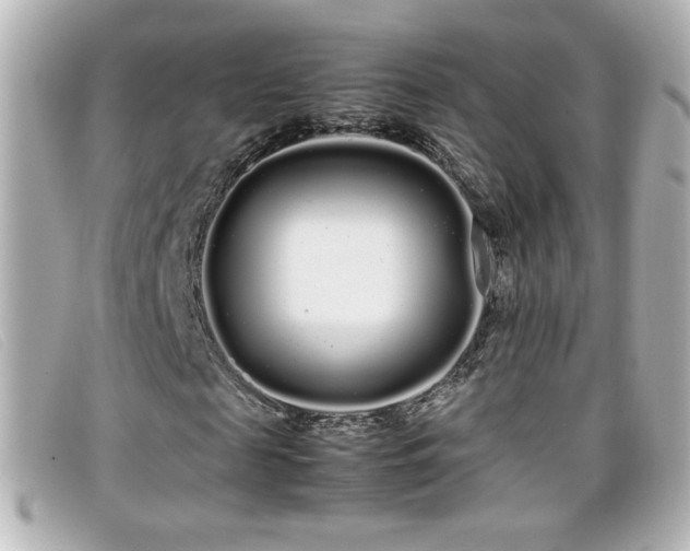 X0000099430817200805091248
