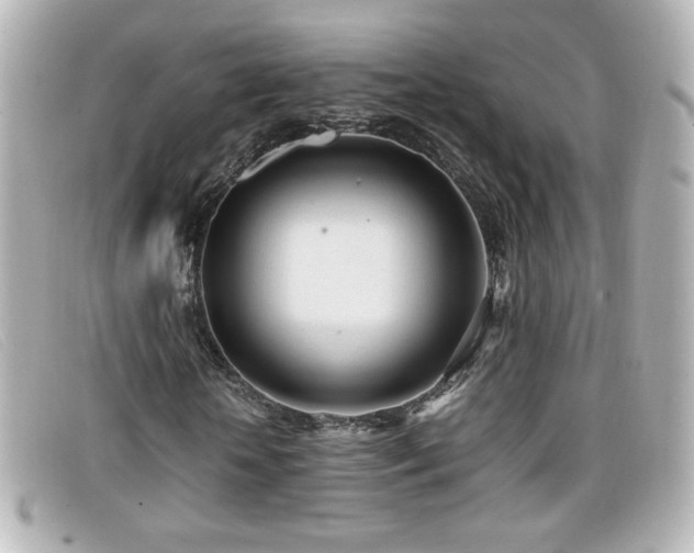 X0000099430818200805091248
