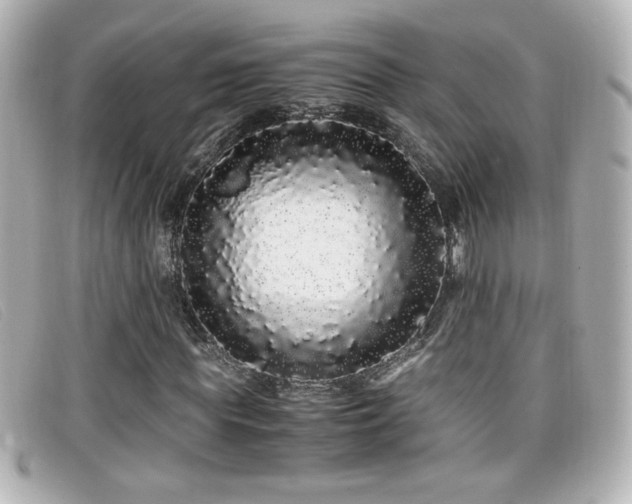 X0000099430819200805091248