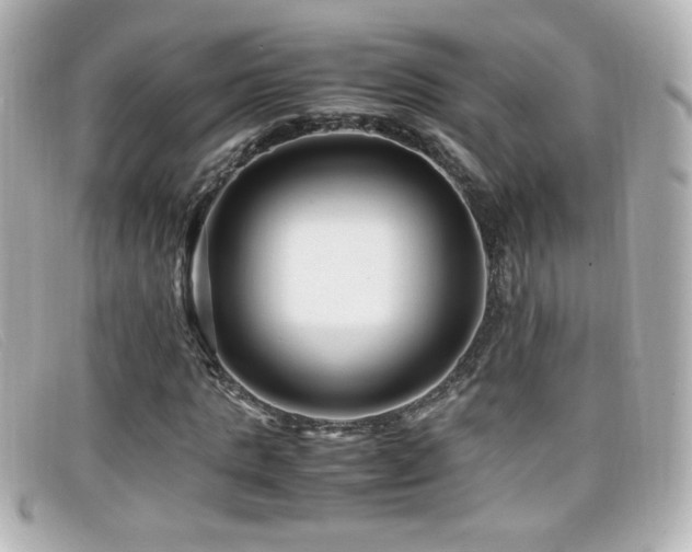 X0000099430821200805091248