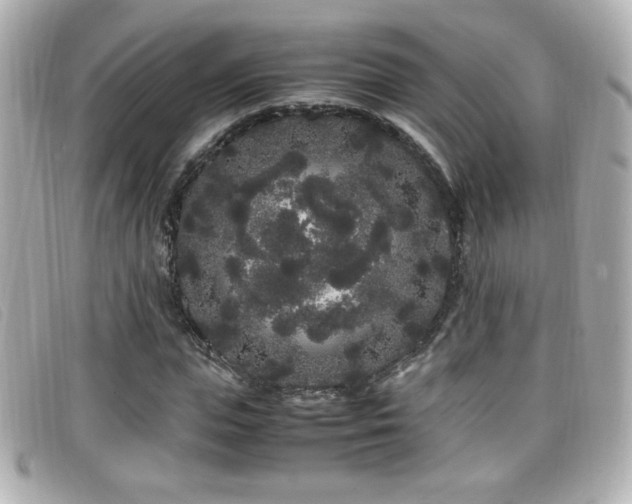 X0000099430823200805091248