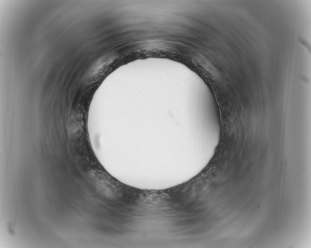X0000099430824200805091248