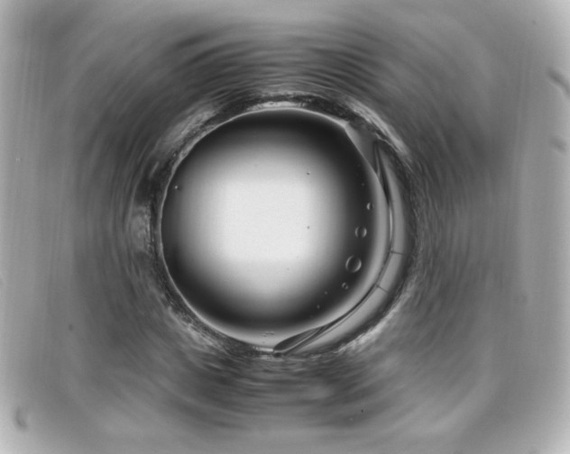 X0000099430825200805091248