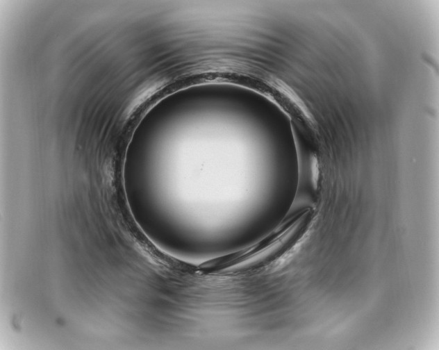 X0000099430826200805091248