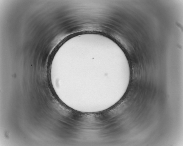 X0000099430828200805091248
