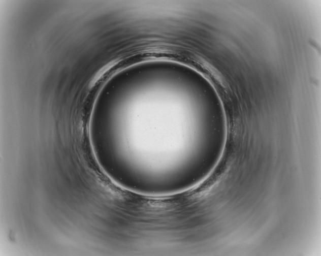 X0000099430829200805091248