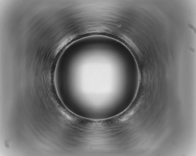 X0000099430834200805091248