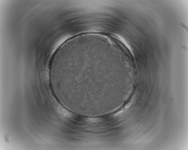 X0000099430835200805091248
