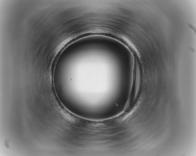 X0000099430837200805091248