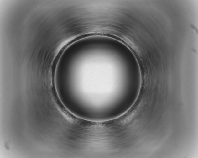 X0000099430838200805091248
