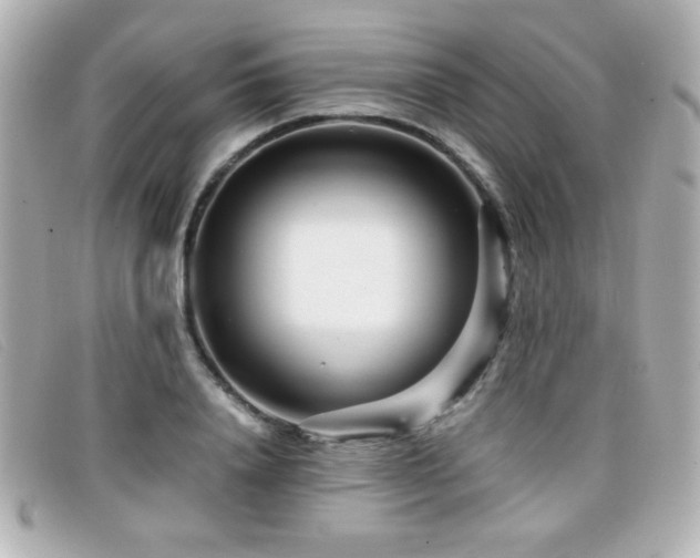 X0000099430840200805091248