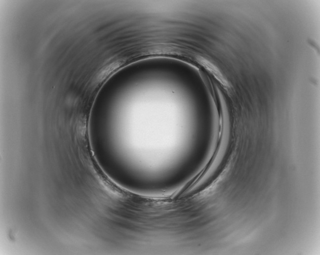 X0000099430841200805091248