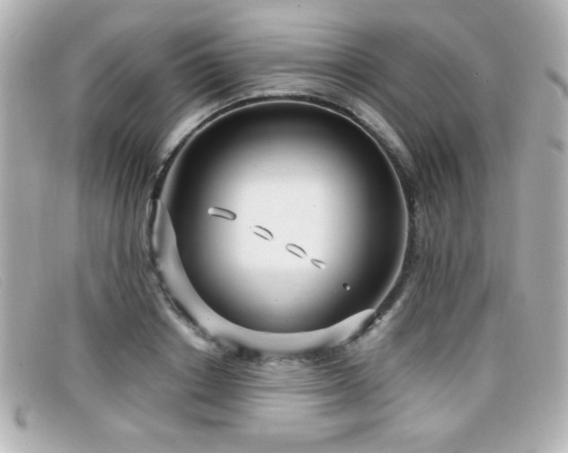 X0000099430842200805091248