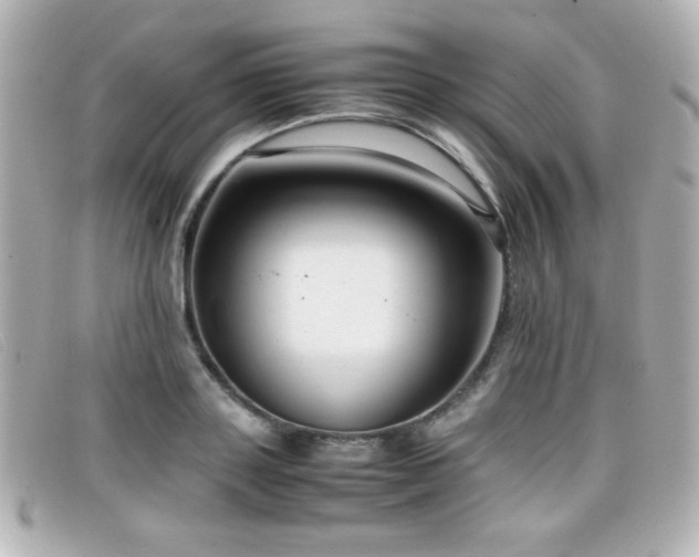 X0000099430843200805091248