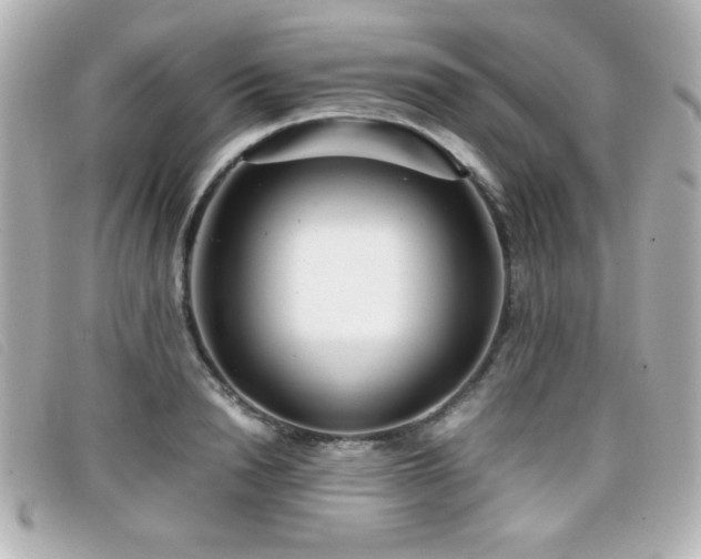X0000099430846200805091248