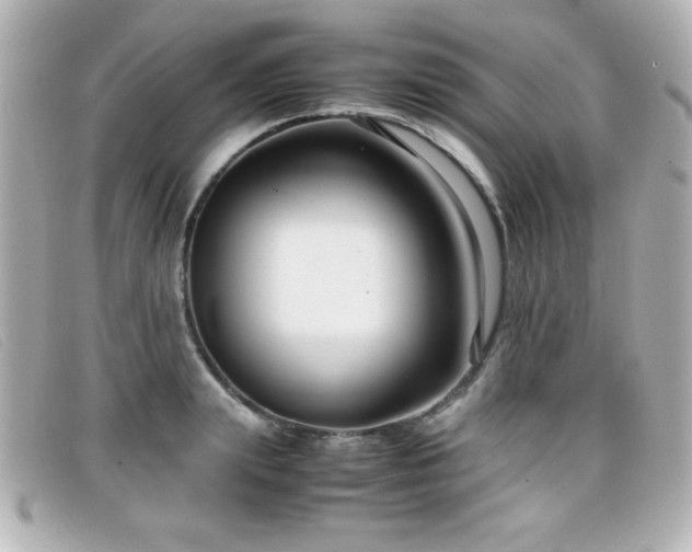 X0000099430847200805091248