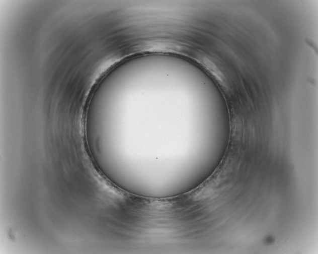 X0000099430848200805091248