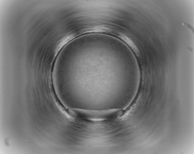 X0000099430850200805091248