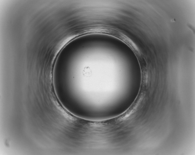 X0000099430852200805091248