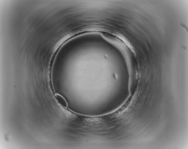 X0000099430853200805091248