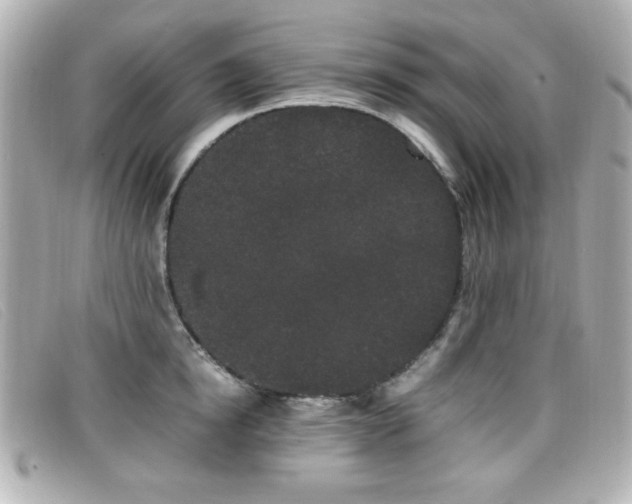 X0000099430854200805091248