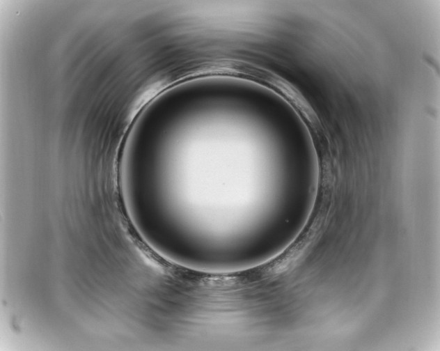 X0000099430858200805091249