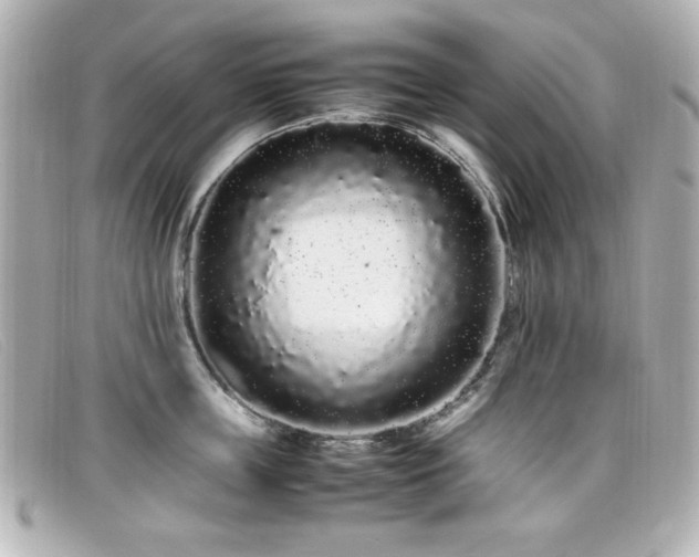 X0000099430859200805091249
