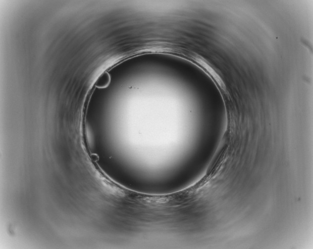 X0000099430861200805091249