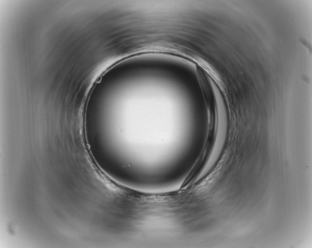 X0000099430862200805091249