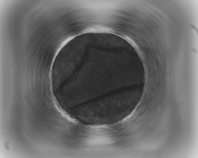 X0000099430864200805091249