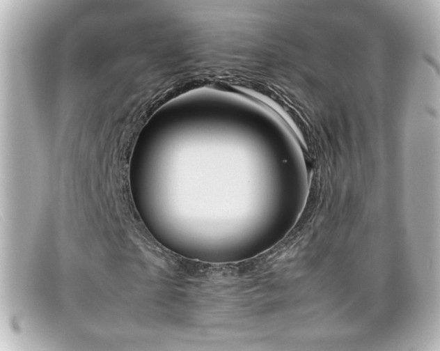 X0000099430865200805091248