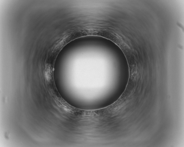 X0000099430866200805091248