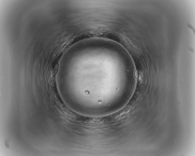 X0000099430867200805091248