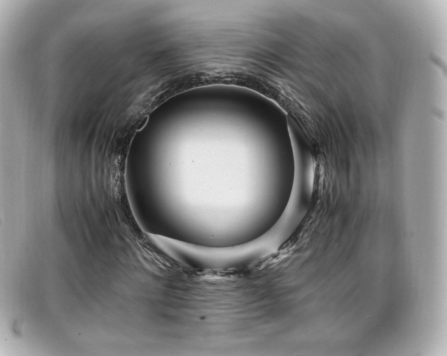 X0000099430868200805091248