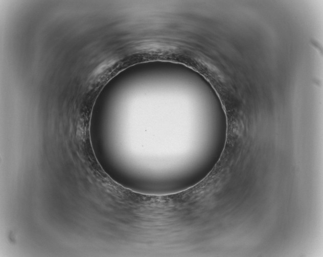 X0000099430869200805091248
