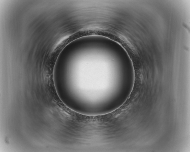 X0000099430872200805091248