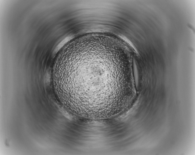 X0000099430874200805091248