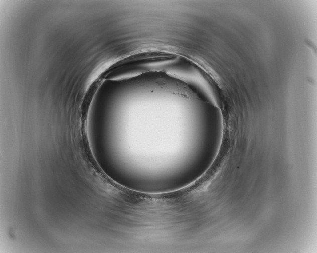 X0000099430877200805091248