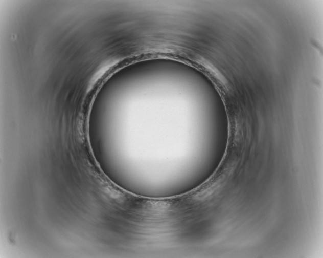 X0000099430878200805091248