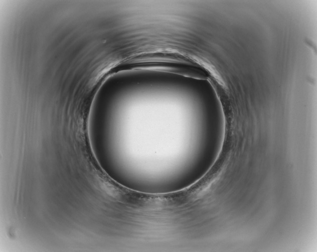 X0000099430881200805091248