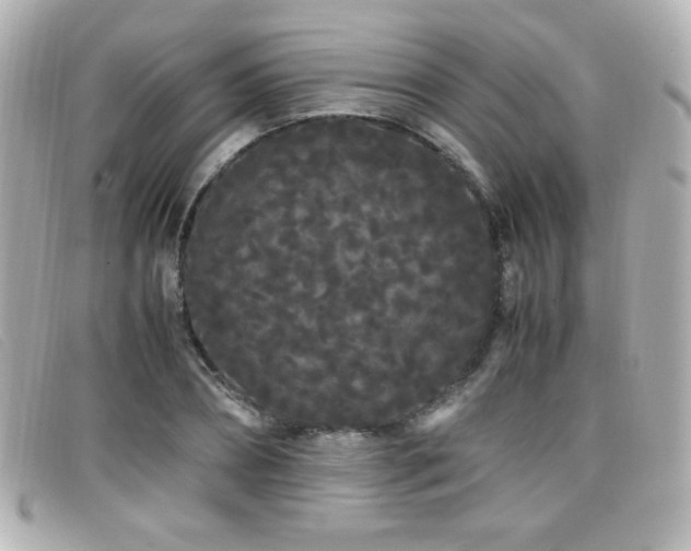 X0000099430882200805091248