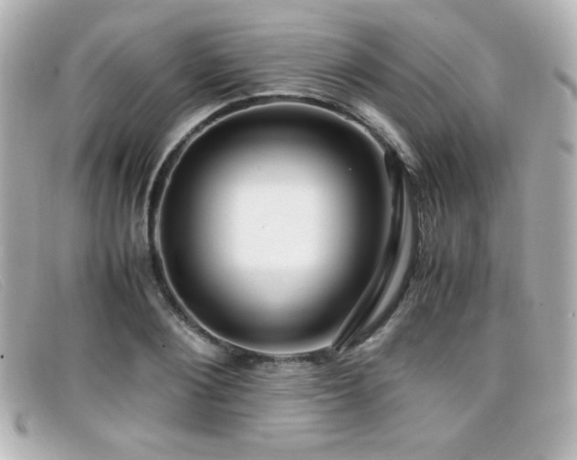 X0000099430884200805091248
